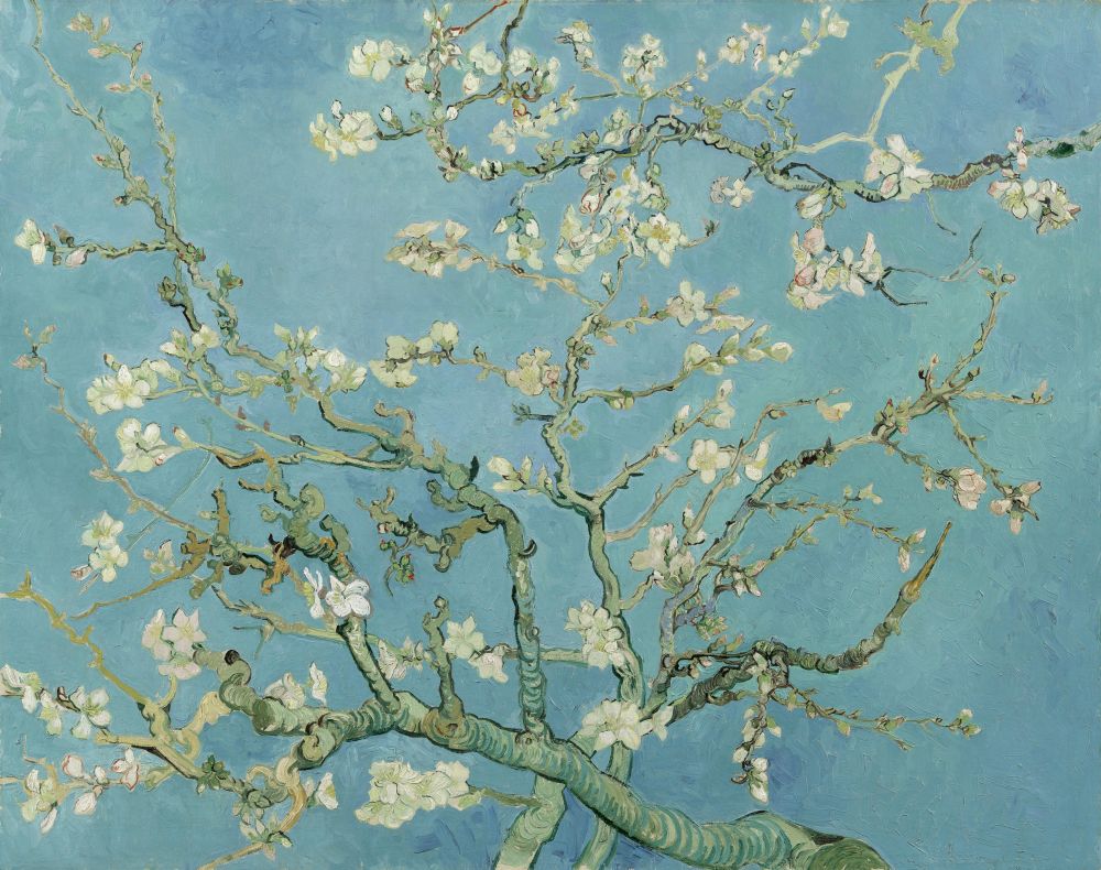 Vincent van Gogh, 'Mandorlo in fiore', 1890. Rami fioriti di mandorlo bianchi e rosa contro un cielo turchese, in uno stile fortemente debitore alle stampe giapponesi.
