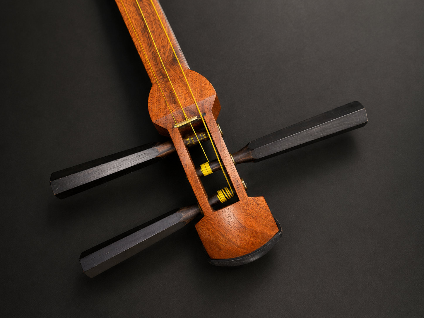 Dettaglio dello shamisen: le tre corde tese lungo il manico senza tasti.